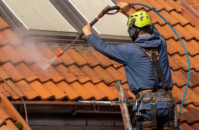 Démoussage et hydrofuge de toiture au Tronchet